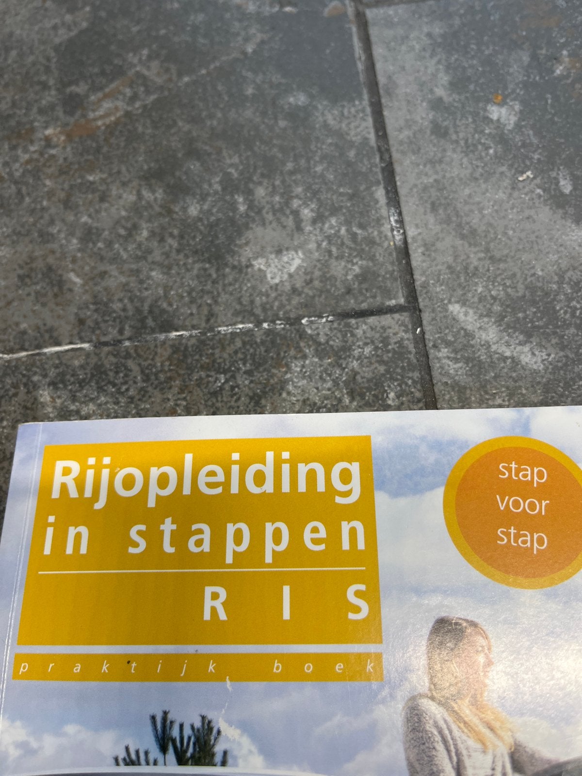 Rijopleiding in stappen RIS praktijkboek, Ophalen of Verzenden, Gelezen, Niet van toepassing