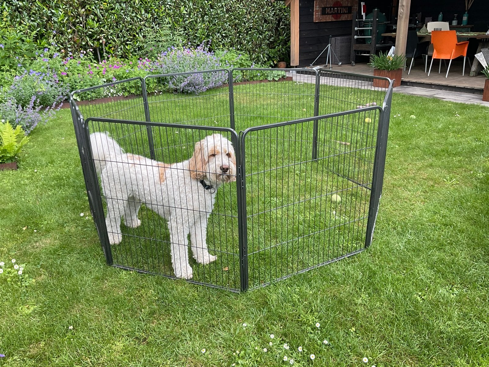 8-kantig hondenhok / puppyren met toegangsdeur, Ophalen, 110 cm of meer, 65 tot 100 cm, Hondenhok