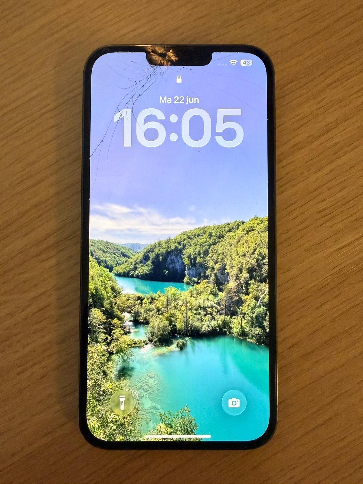 iPhone 13 Pro Max met schade, werkt perfect, Telecommunicatie, Mobiele telefoons | Apple iPhone, 89 %, Ophalen of Verzenden, IPhone 13 Pro Max