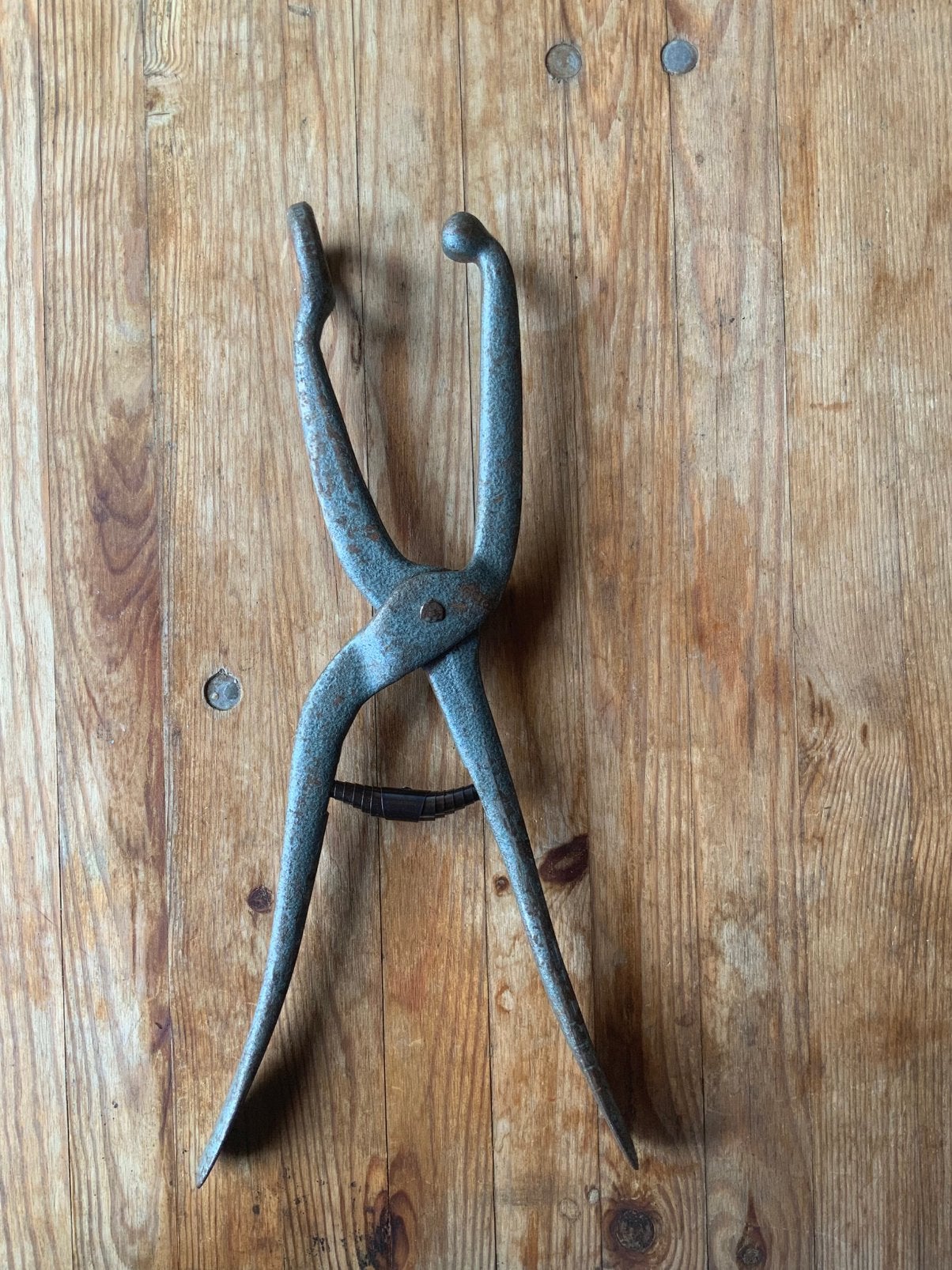 Te koop knobbeltang/ hallux valgus, Ophalen of Verzenden