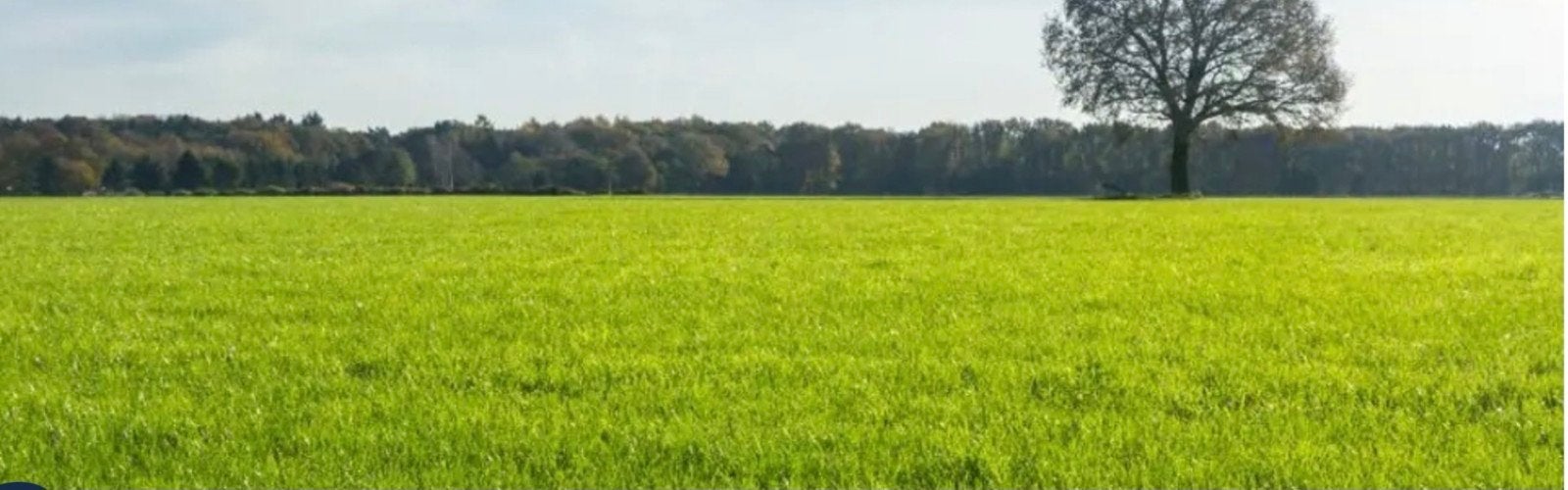 Grasland te huur aangeboden