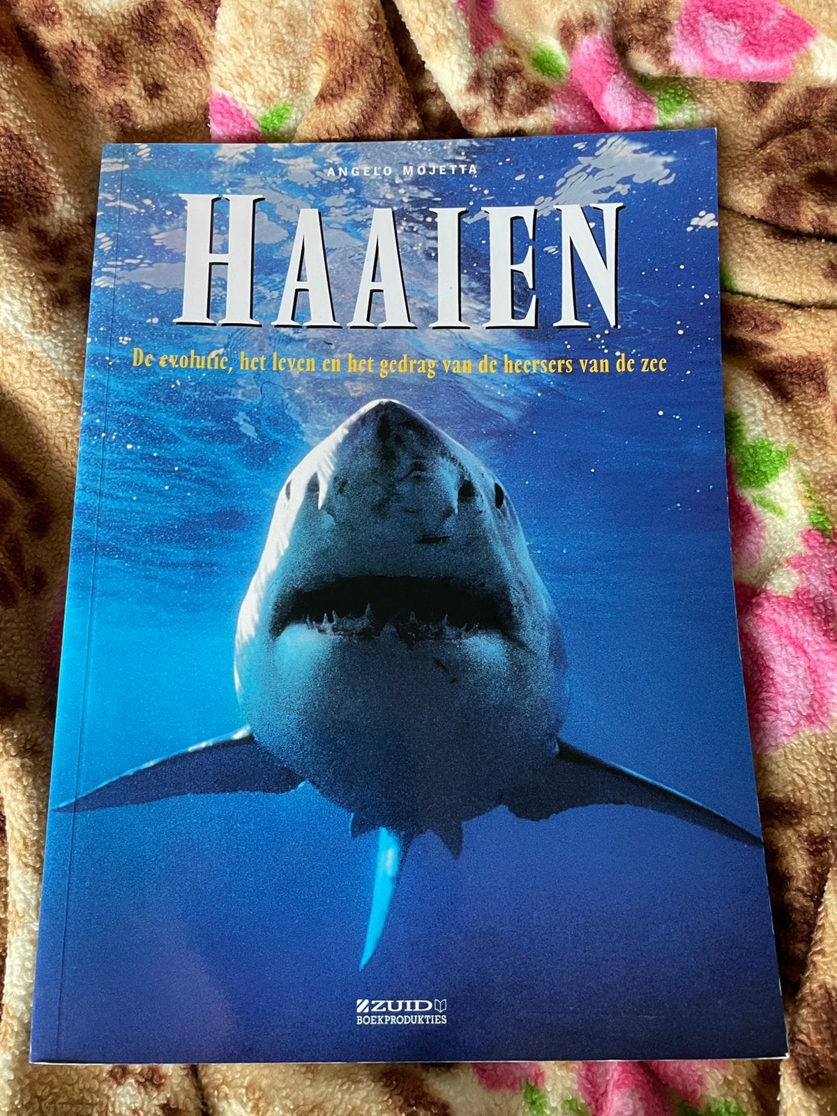 Boek Haaien de heersers van de zee ( ongebruikte staat), Ophalen of Verzenden, Zo goed als nieuw, Natuur algemeen