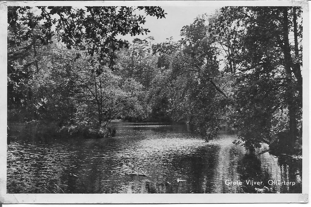 Grote Vijver Olterterp., Ophalen of Verzenden, 1940 tot 1960, Ongelopen, Friesland