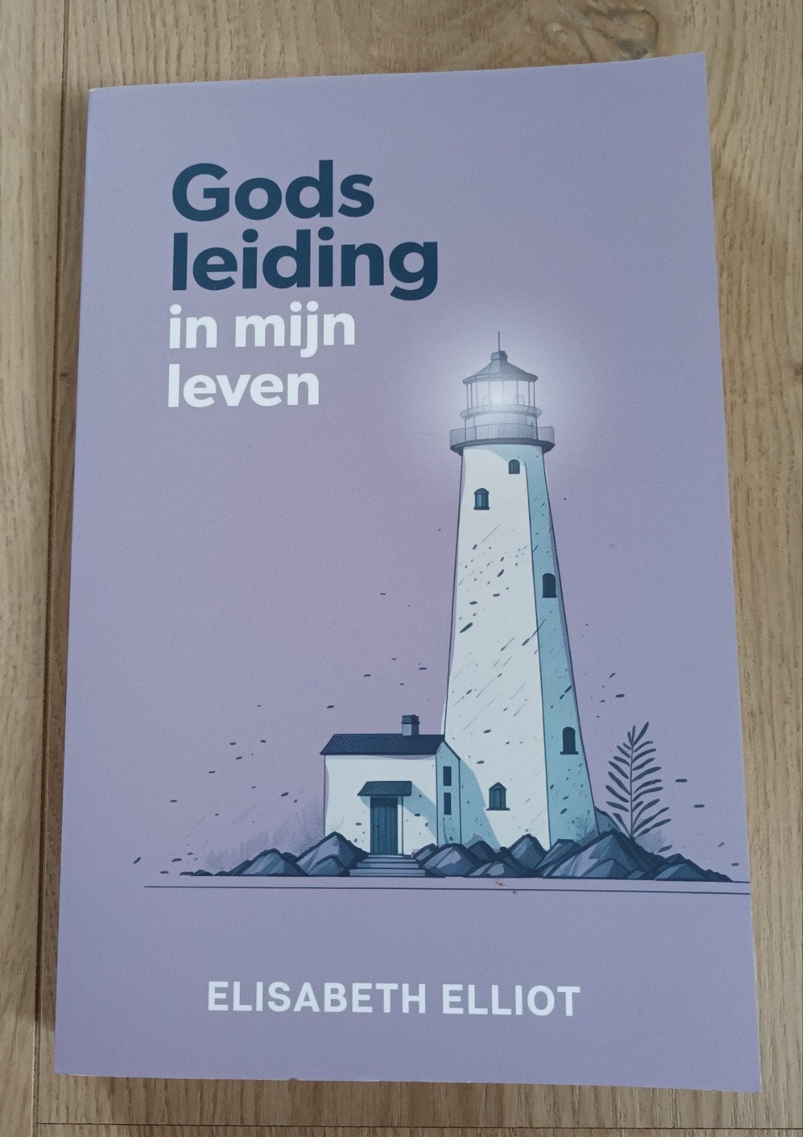 Gods leiding in mijn leven, Ophalen of Verzenden, Nieuw