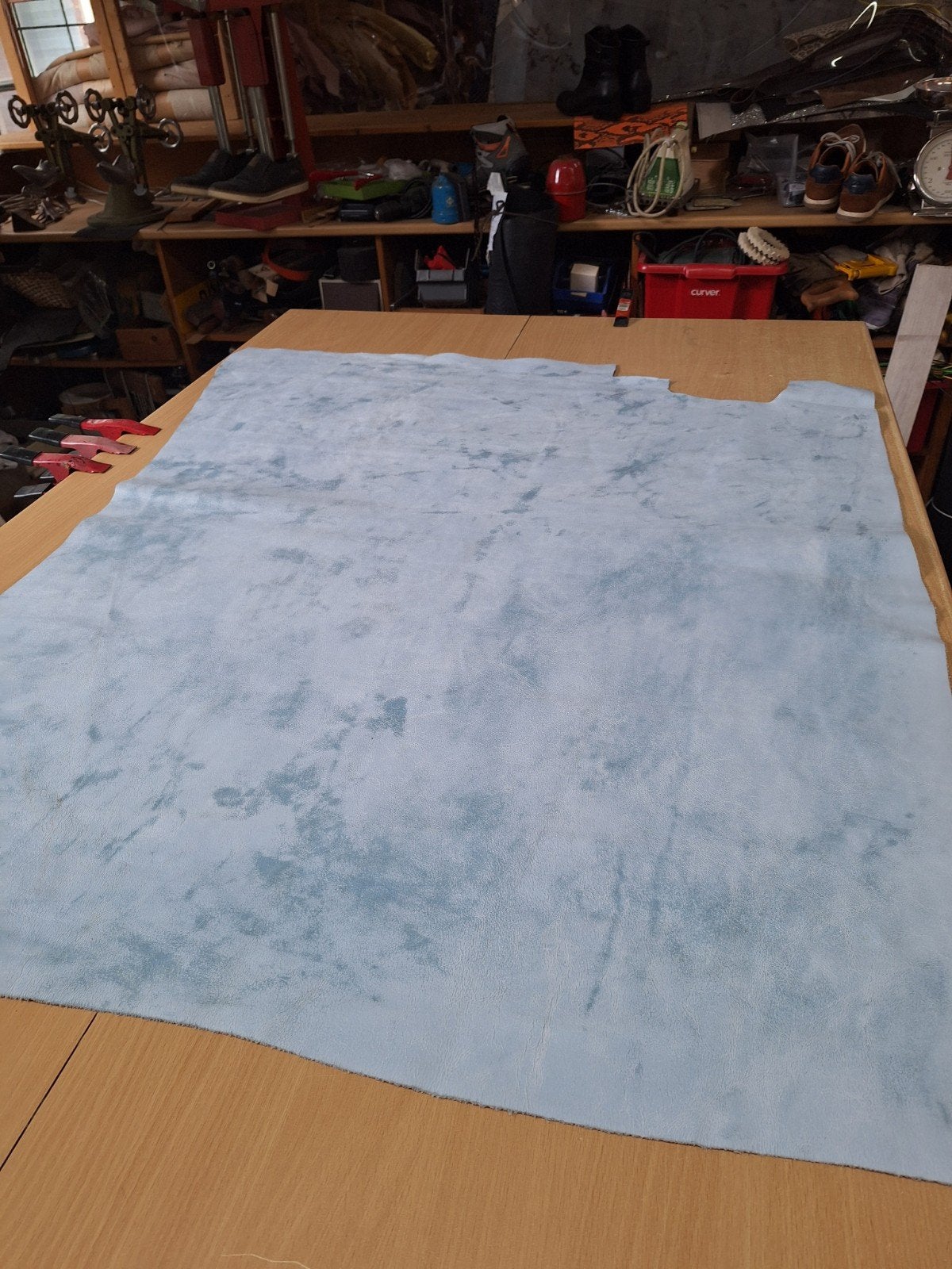 Rundshuid, ingewassen, Baby Blauw., Blauw, Leer of Kunstleer, Nieuw, Ophalen of Verzenden