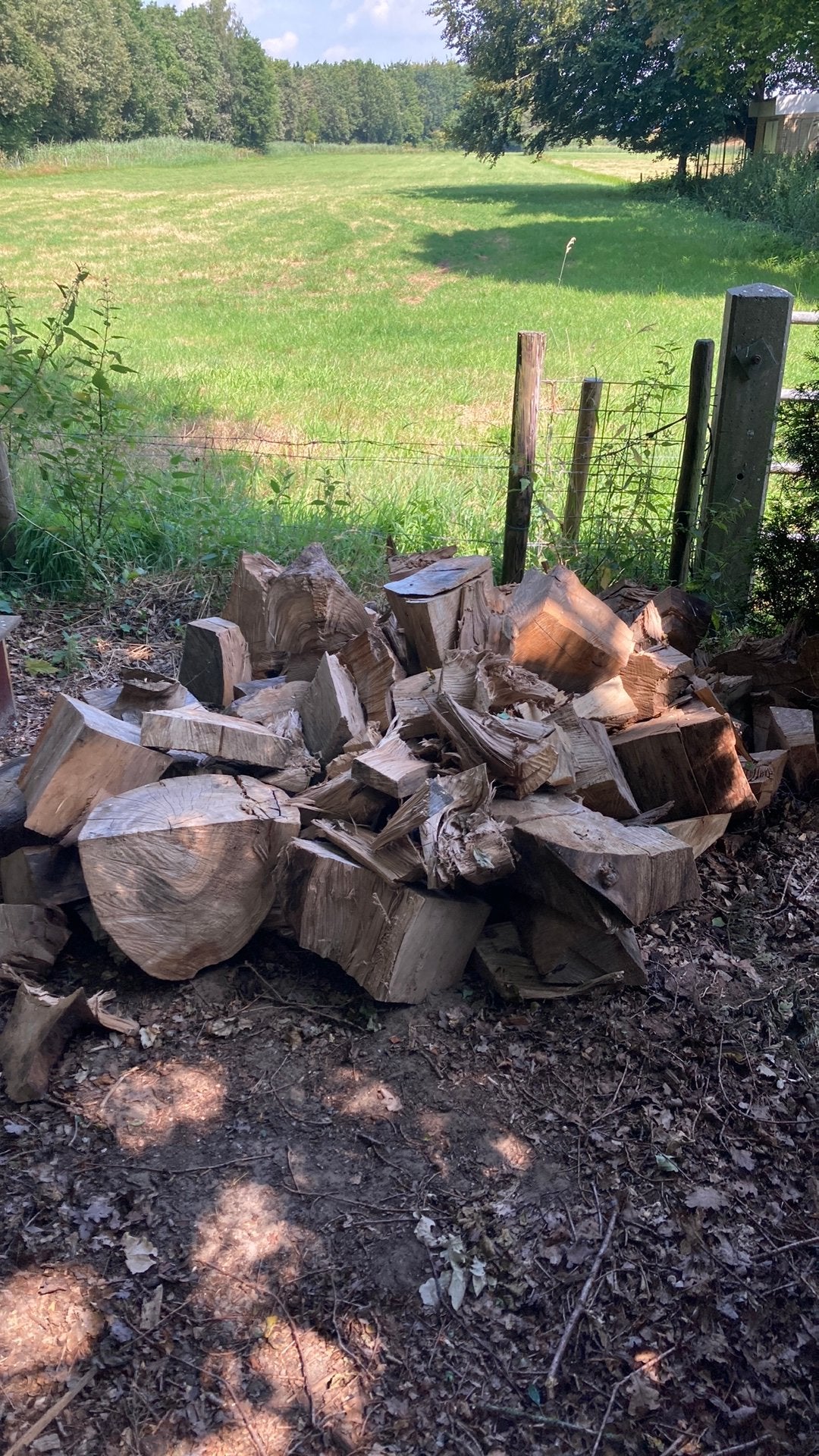 Gratis haardhout, Tuin en Terras, Haardhout, Minder dan 3 m³, Ophalen, Overige houtsoorten, Blokken