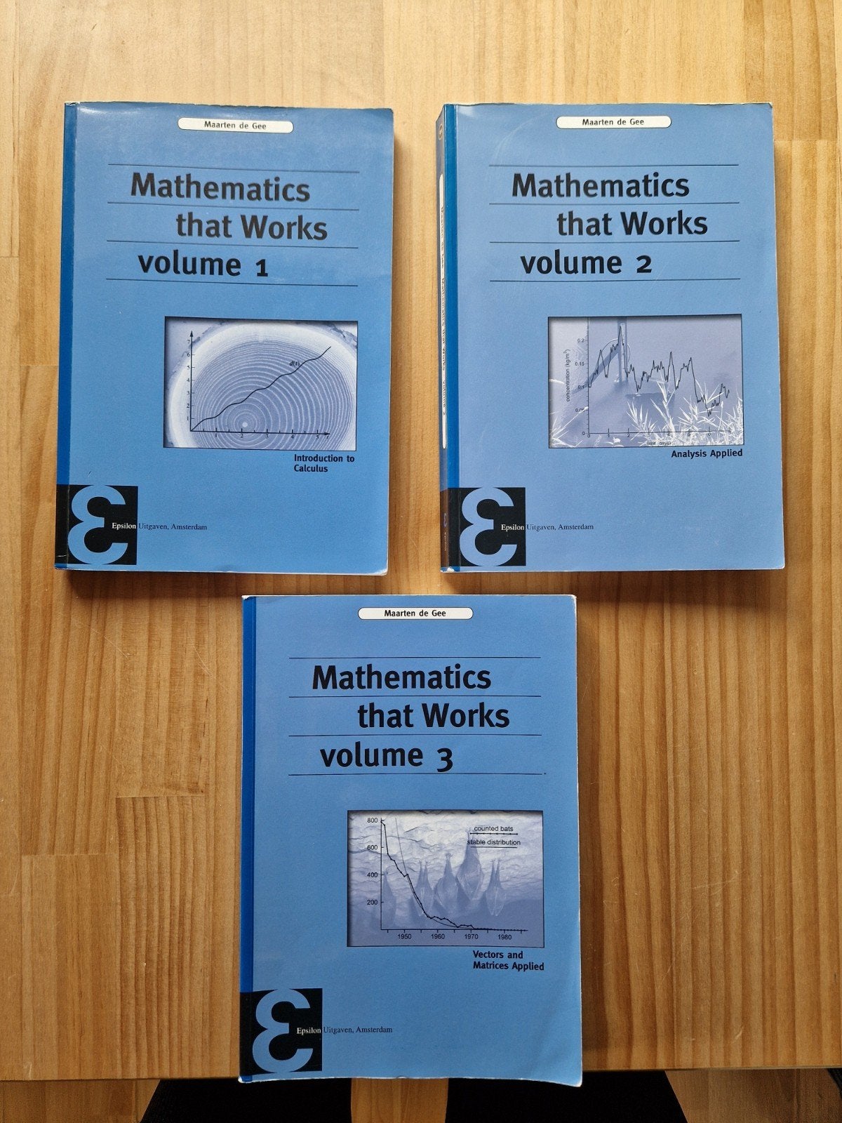 Mathematics that works volume 1/2/3, Ophalen of Verzenden, Zo goed als nieuw, Natuurwetenschap, Maarten de Gee