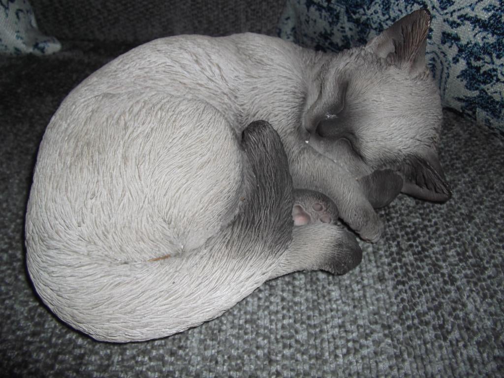 *Beeld slapende kat*, Ophalen of Verzenden, Nieuw, Dier