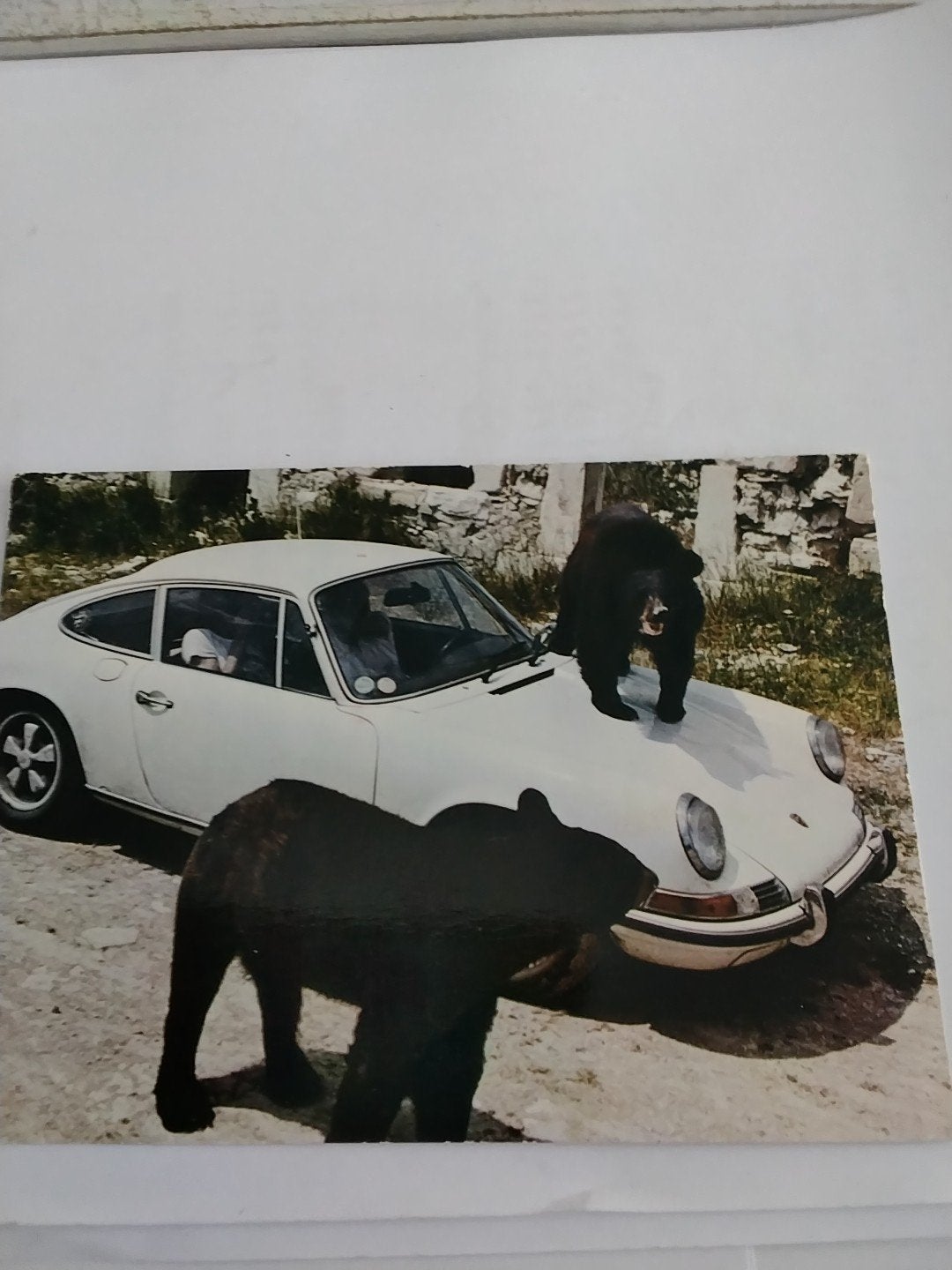 Vintage: Porsche met Beren in Afrikaans Reserva, Ophalen of Verzenden, 1960 tot 1980, Gelopen