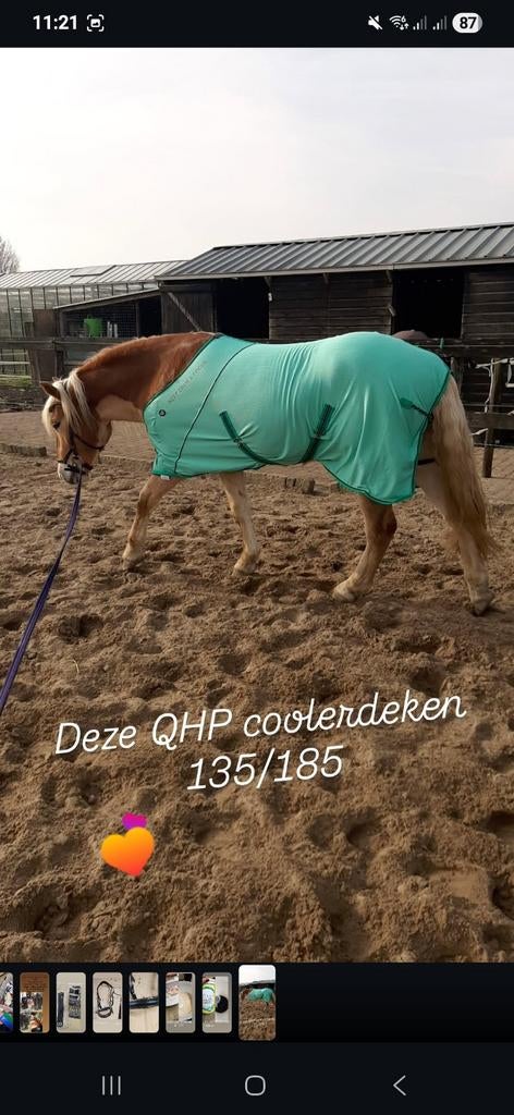 Diverse paardenspullen doe een leuk bod, Ophalen of Verzenden, Gebruikt, Overige soorten