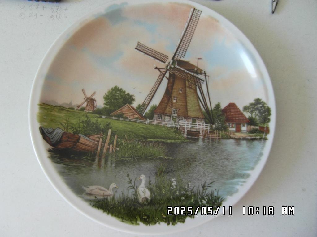 Bord kleur molens en zwanen 24 cm, Ophalen of Verzenden, Zo goed als nieuw