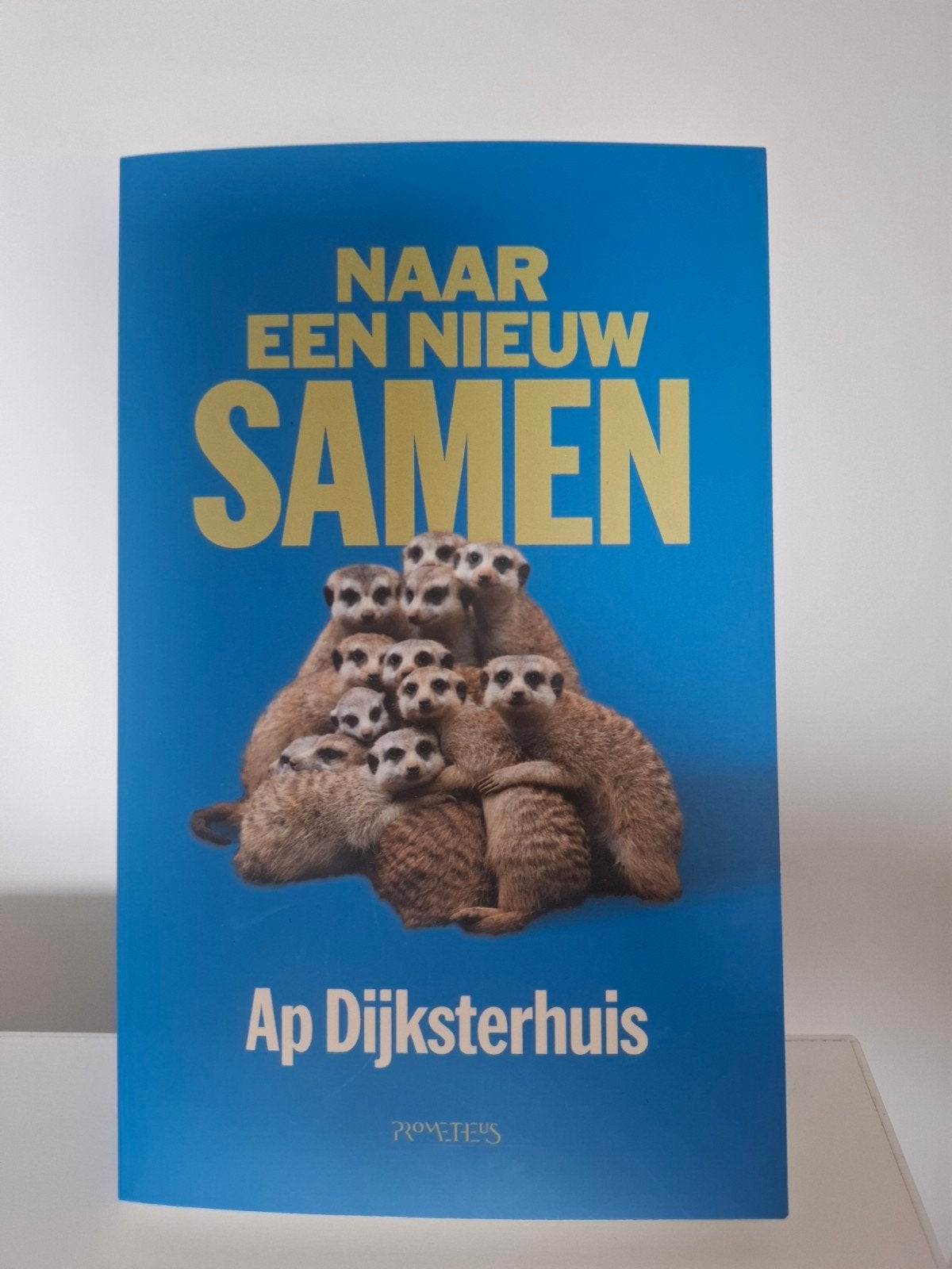 Naar een nieuw samen - Ap Dijksterhuis, Boeken, Ophalen of Verzenden, Nieuw, Ap Dijksterhuis, Nederland