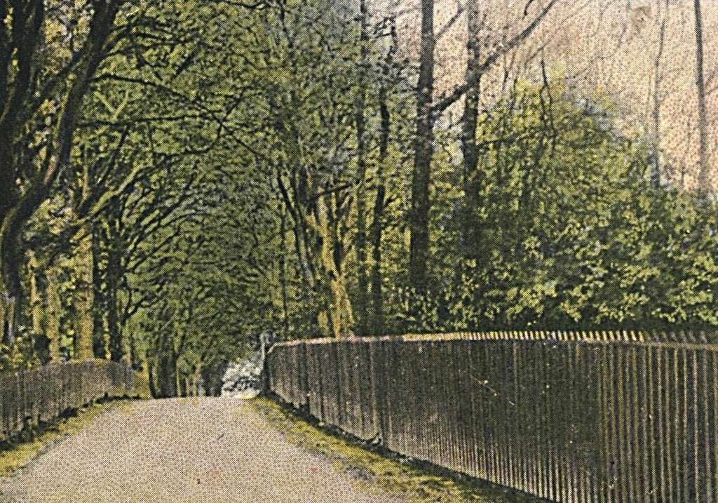 700156	Overveen	NH 1907 Rentmeesterswoning Elswout, Ophalen of Verzenden, Voor 1920, Gelopen, Noord-Holland