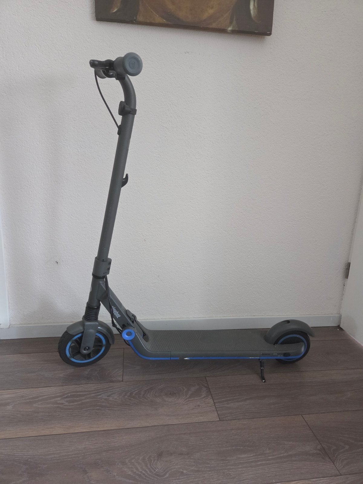 Ninebot step, Fietsen en Brommers, Steps, Ophalen, Zo goed als nieuw, Elektrische step (E-scooter), Ninebot