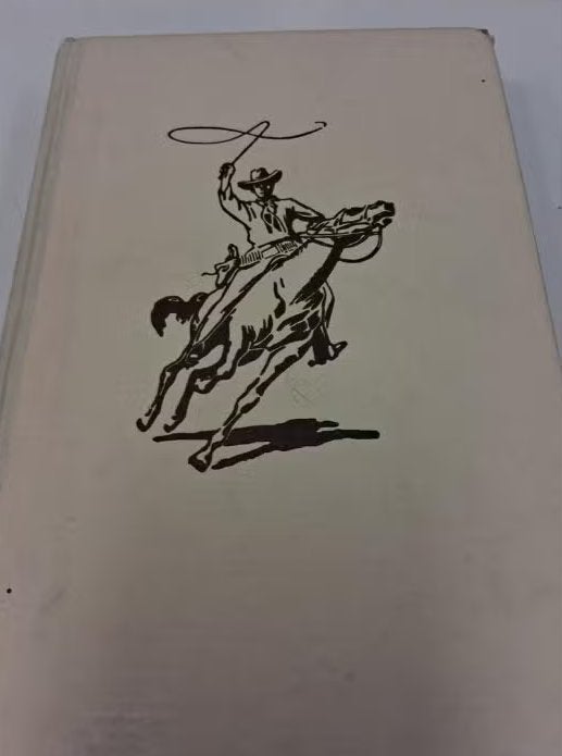 Arendsoog en het blaffende zand - P. Nowee (Vintage Boek), Ophalen of Verzenden, Gelezen