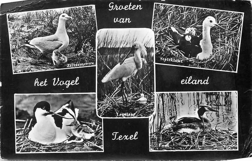 377-674-011 Texel, Verzenden, Voor 1920, Noord-Holland
