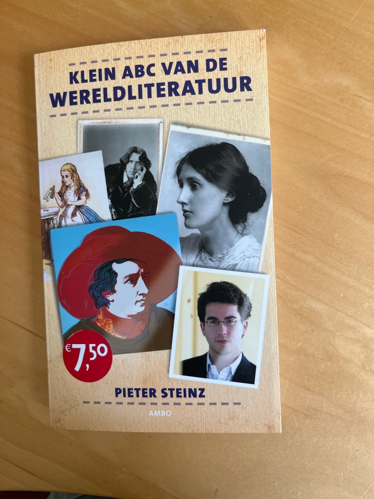 Klein ABC van de Wereldliteratuur - Pieter Steinz, Ophalen of Verzenden, Gelezen, Nederland