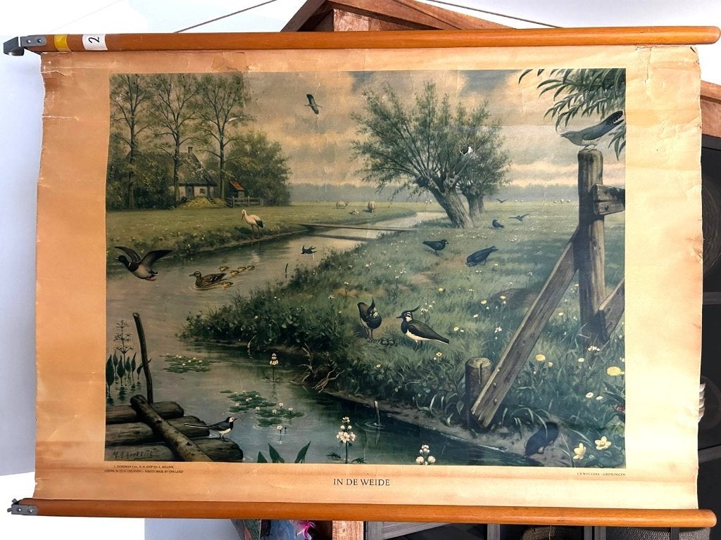 In de weide, Antiek en Kunst, Ophalen of Verzenden, Natuur en Biologie
