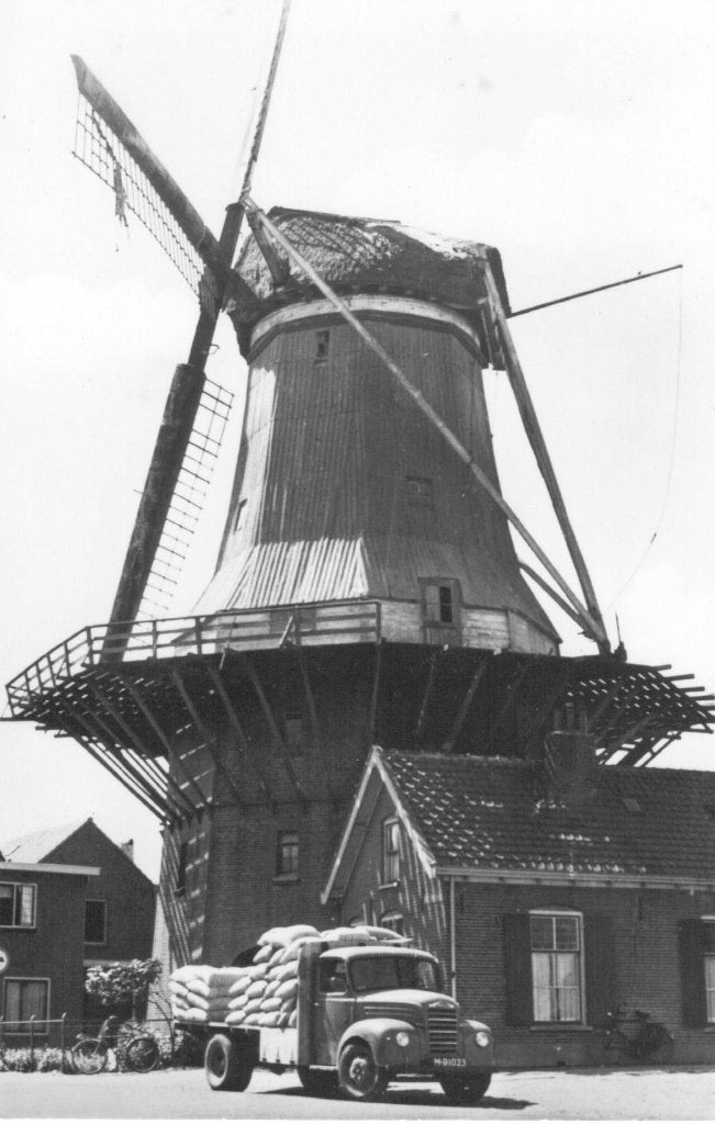 Harderwijk Korenmolen De Hoop, Verzamelen, Ansichtkaarten | Nederland, Verzenden, 1940 tot 1960, Ongelopen, Gelderland