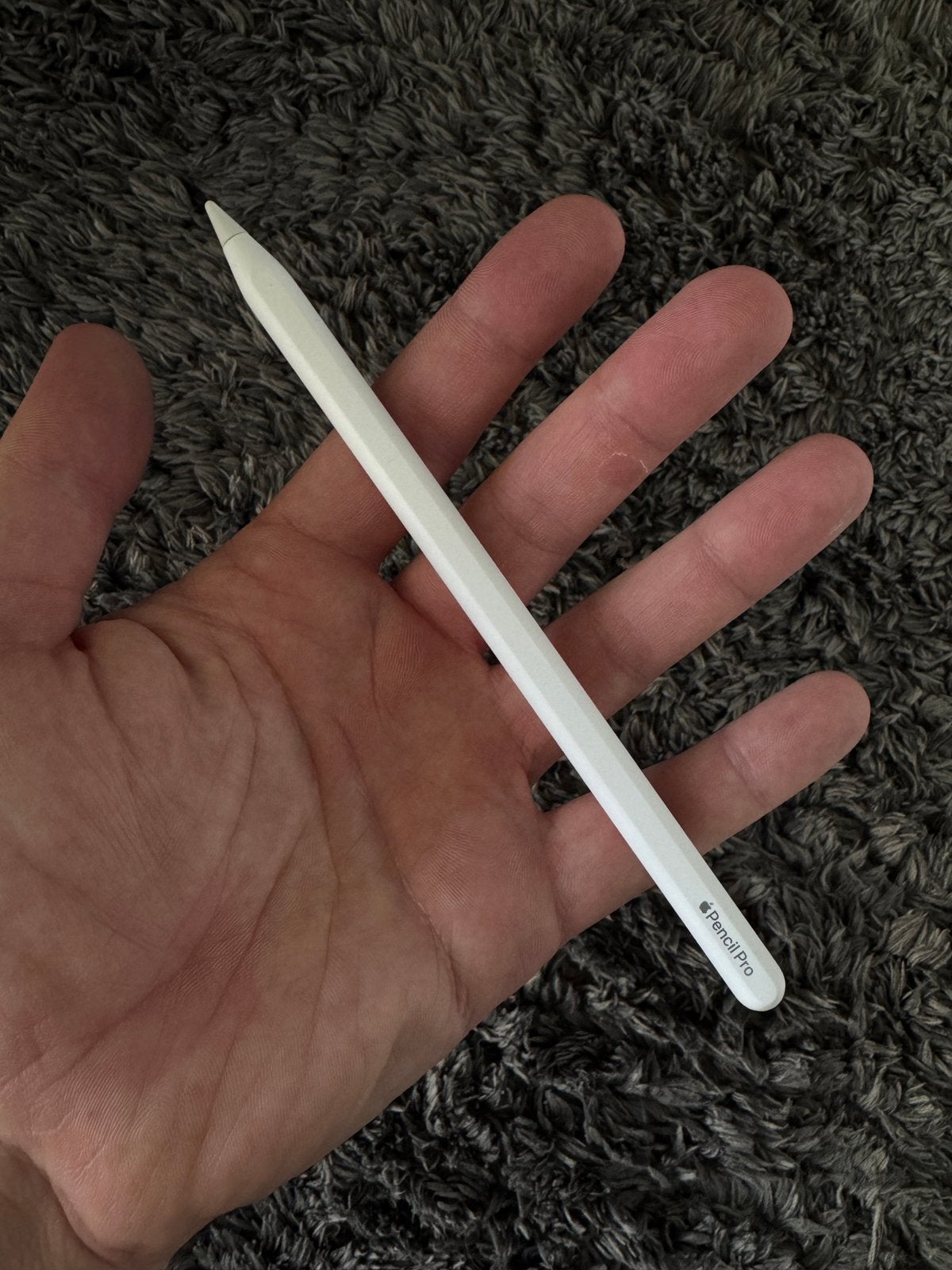 Apple Pencil Pro, Computers en Software, Ophalen, 13 inch of meer, Wit, Zo goed als nieuw
