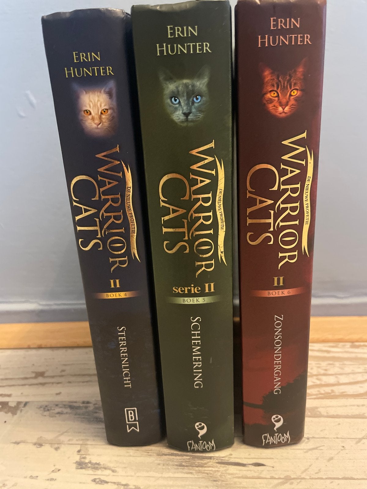 Warrior cats: serie 2 boek 4,5 en 6, Ophalen, Gelezen, Fictie algemeen