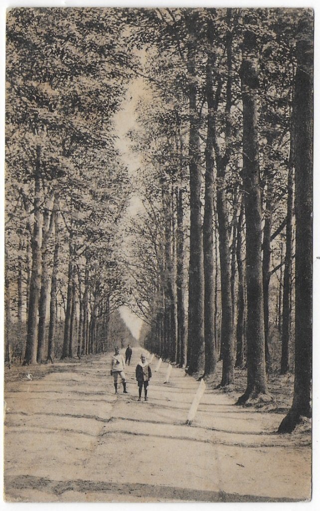 Ulvenhout Nieuwe Dreef Oude gelopen Ansichtkaart ( B1411), Verzamelen, Ophalen of Verzenden, 1960 tot 1980, Gelopen