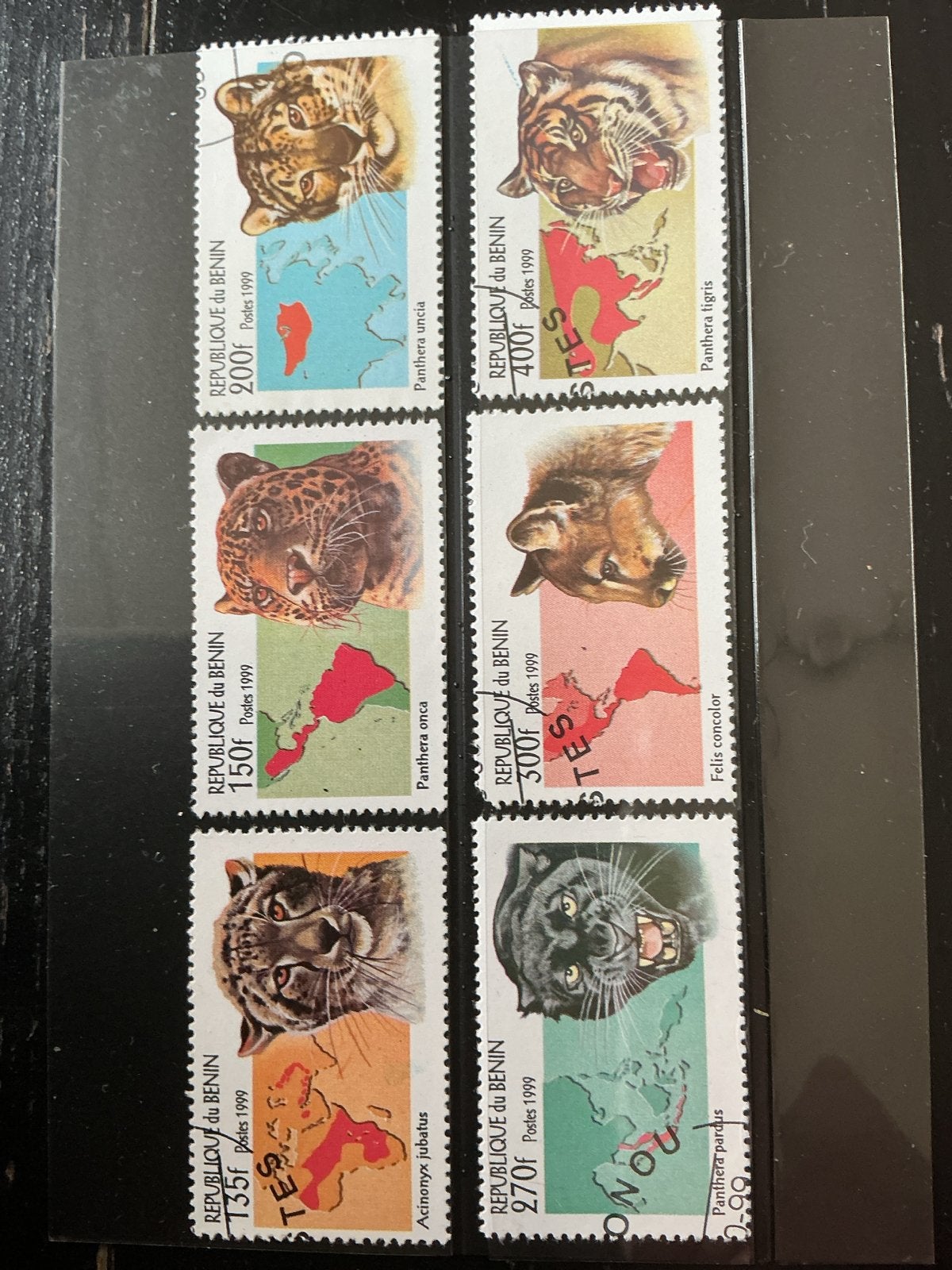 Benin Postzegels 1999 - Grote Katten Serie, Ophalen of Verzenden, Overige landen, Gestempeld