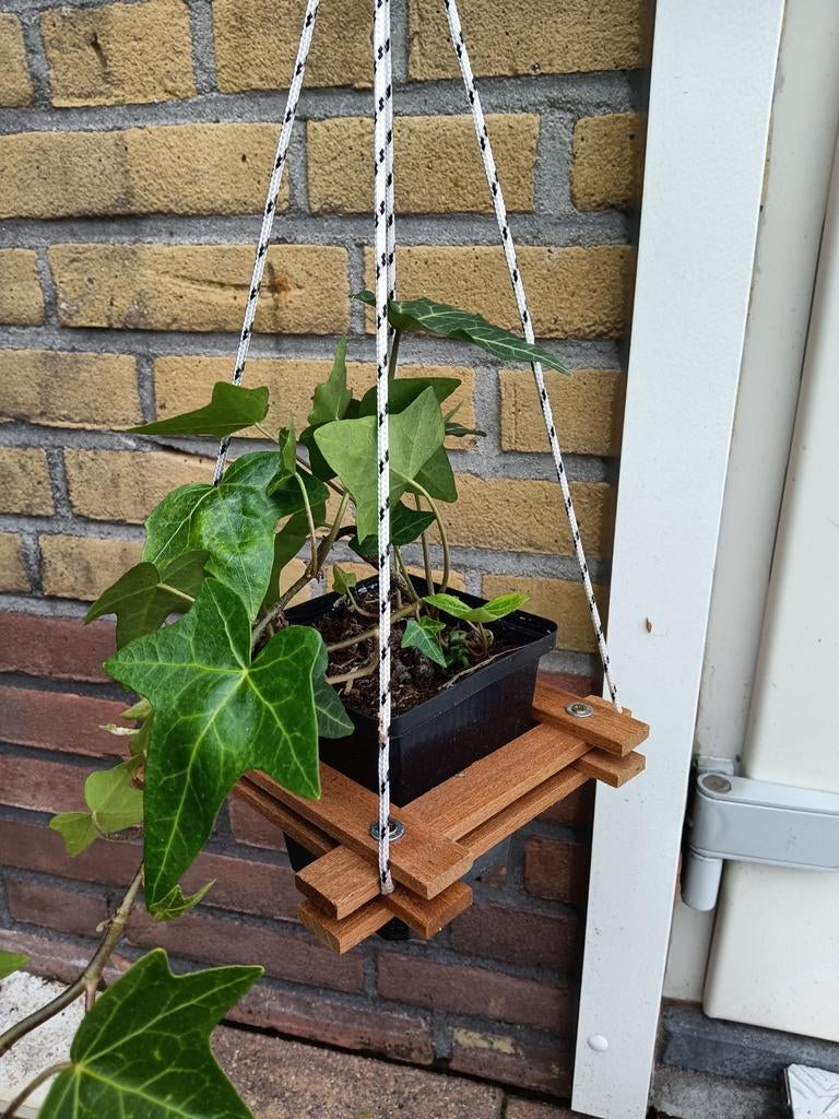 Hanger voor hangplantjes, Ophalen, Minder dan 100 cm, Overige soorten, Zomer