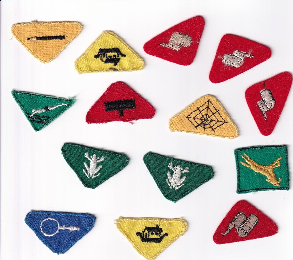 Scouting insignes, Ophalen of Verzenden, Zo goed als nieuw, Embleem, Speld of Insigne