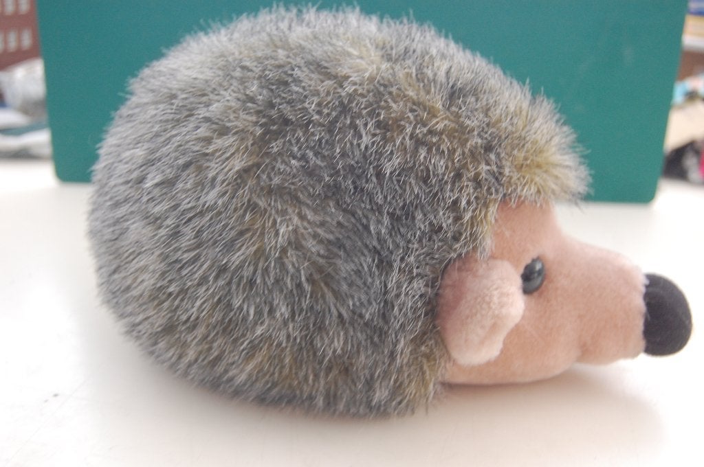 Een KNUFFEL  EGEL     ca 27 cm, Overige merken, Overige typen, Nieuw, Ophalen of Verzenden