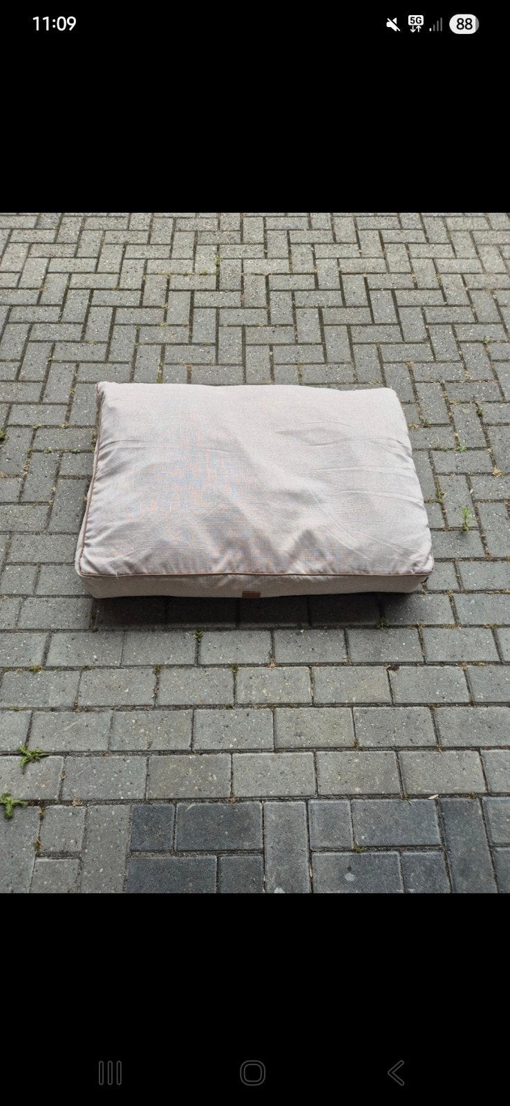 Nieuwe Booney hondenkussen, Dieren en Toebehoren, Hondenmanden, Ophalen of Verzenden, Nieuw