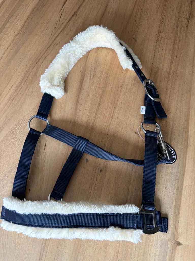 Profi-rider halster bont maat Cob, Dieren en Toebehoren, Ophalen of Verzenden, Nieuw, Overige soorten