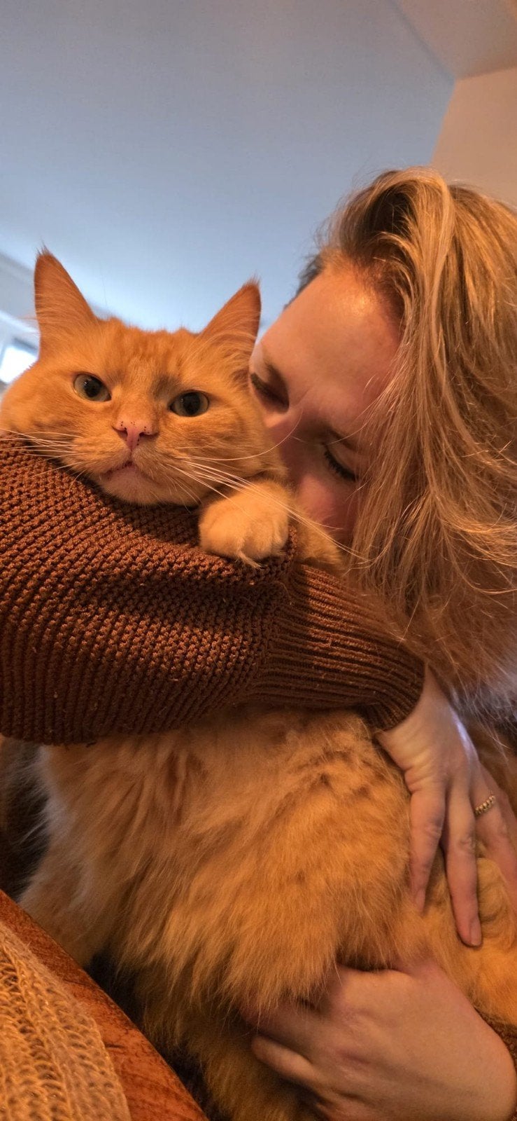 Betrouwbare kattenoppas Hilversum aangeboden, Ophalen of Verzenden