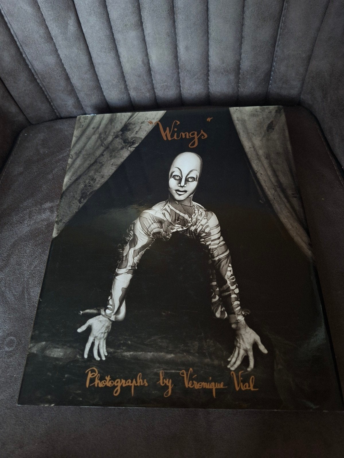 Wings - Fotografisch boek van Véronique Vial, Ophalen of Verzenden, Zo goed als nieuw, Fotografie algemeen, Véronique Vial
