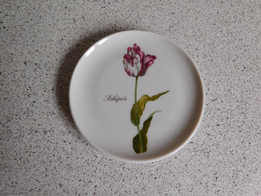 Bord 10 cm. Schipis Holland Gallery de Munt Amsterdam, Overige merken, Ophalen of Verzenden, Zo goed als nieuw, Bord(en)