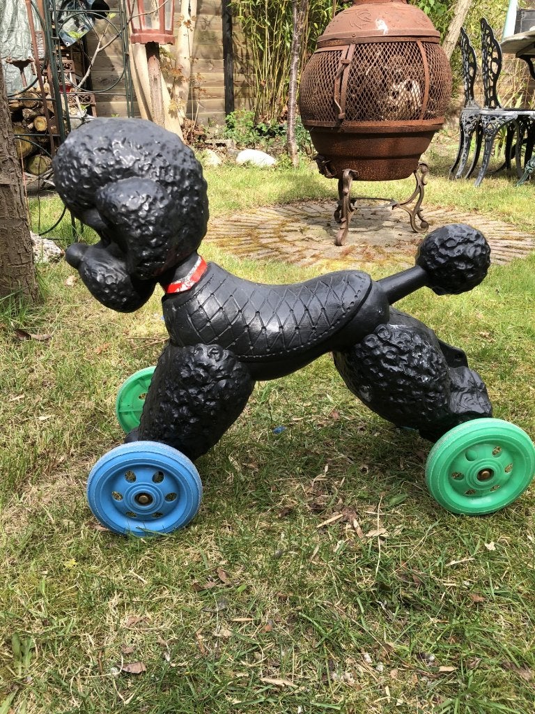 Loophond poedel jaren 50/60, Ophalen of Verzenden