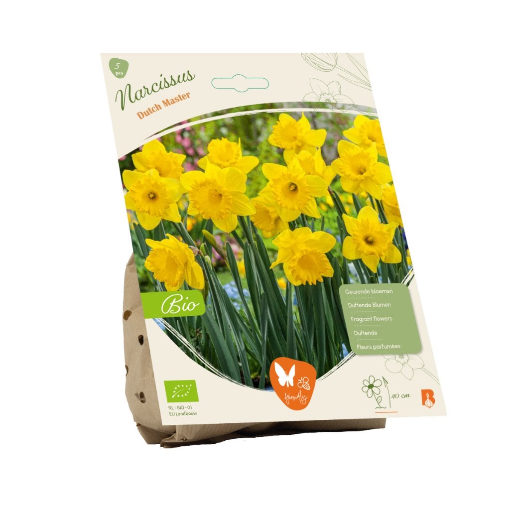 Narcis (Narcissus ‘Dutch master’) BIOLOGISCH, Ophalen of Verzenden, Najaar, Volle zon, Bloembol