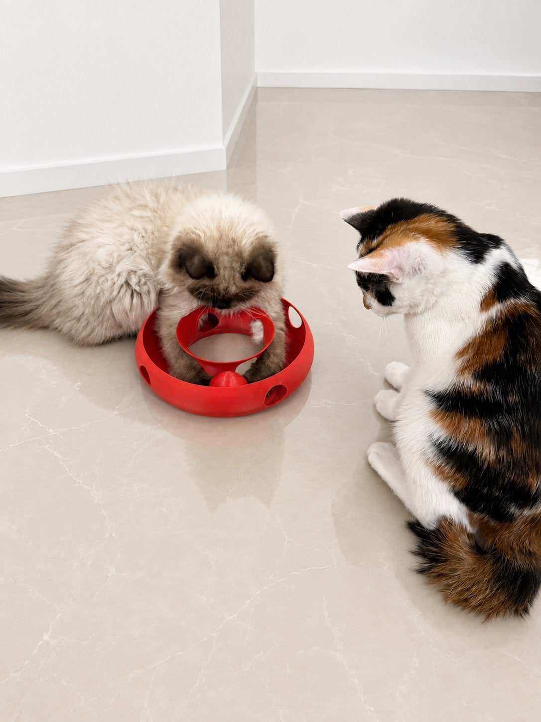 Cat toy, Verzenden, Zo goed als nieuw