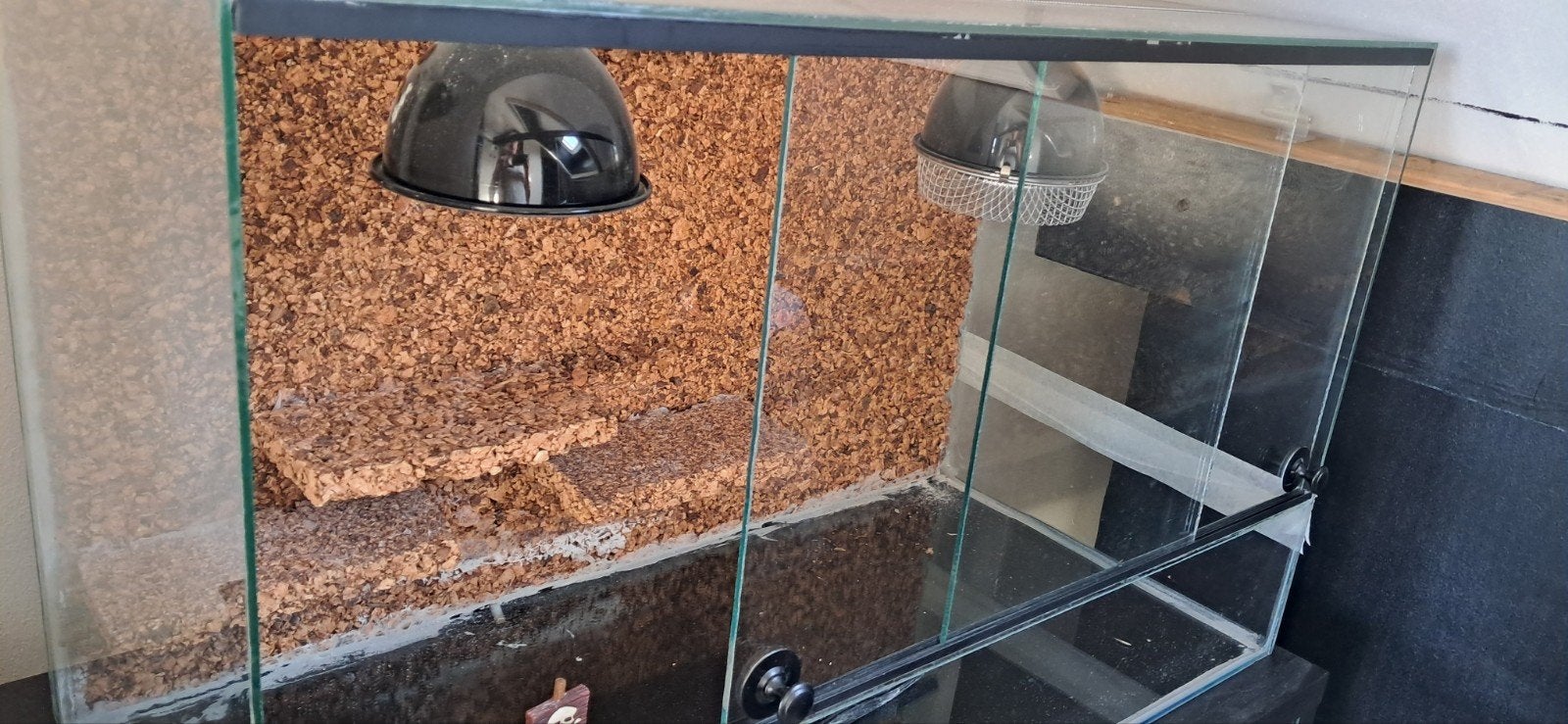terrarium, 0 tot 2 jaar
