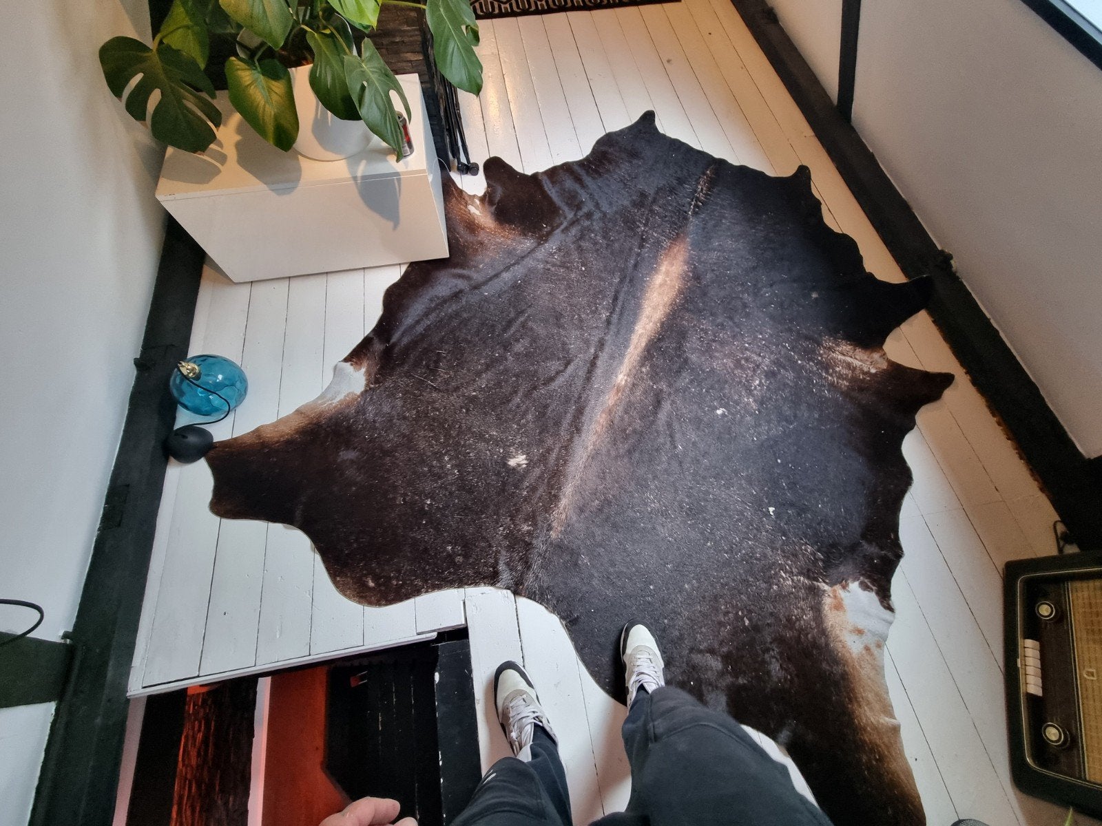 Prachtige Koeienhuid Vloerkleed - Bruin/Wit, Ophalen, Natuurlijk, Landelijk, Modern, Scandinavisch, Gebruikt, 100 tot 150 cm