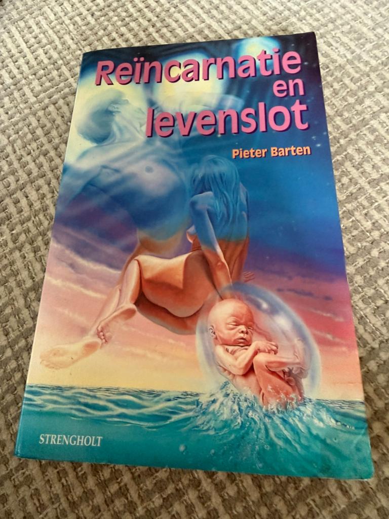 Reincarnatie en levenslot, Boeken, Ophalen of Verzenden, Gelezen, Spiritualiteit algemeen, Overige typen