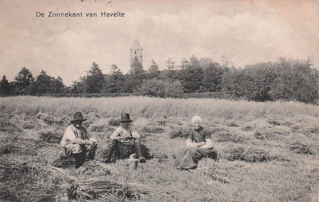 703-133-035 De Zonnekant van Havelte, Verzamelen, Ophalen of Verzenden, Voor 1920, Drenthe