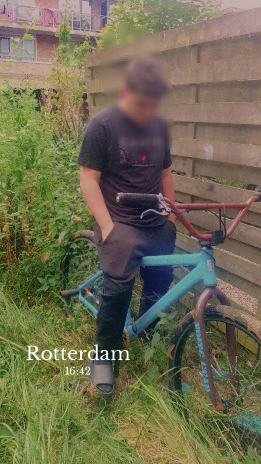 Big flyer 29 inch, Gebruikt, Velgrem, SE Bikes, Handrem