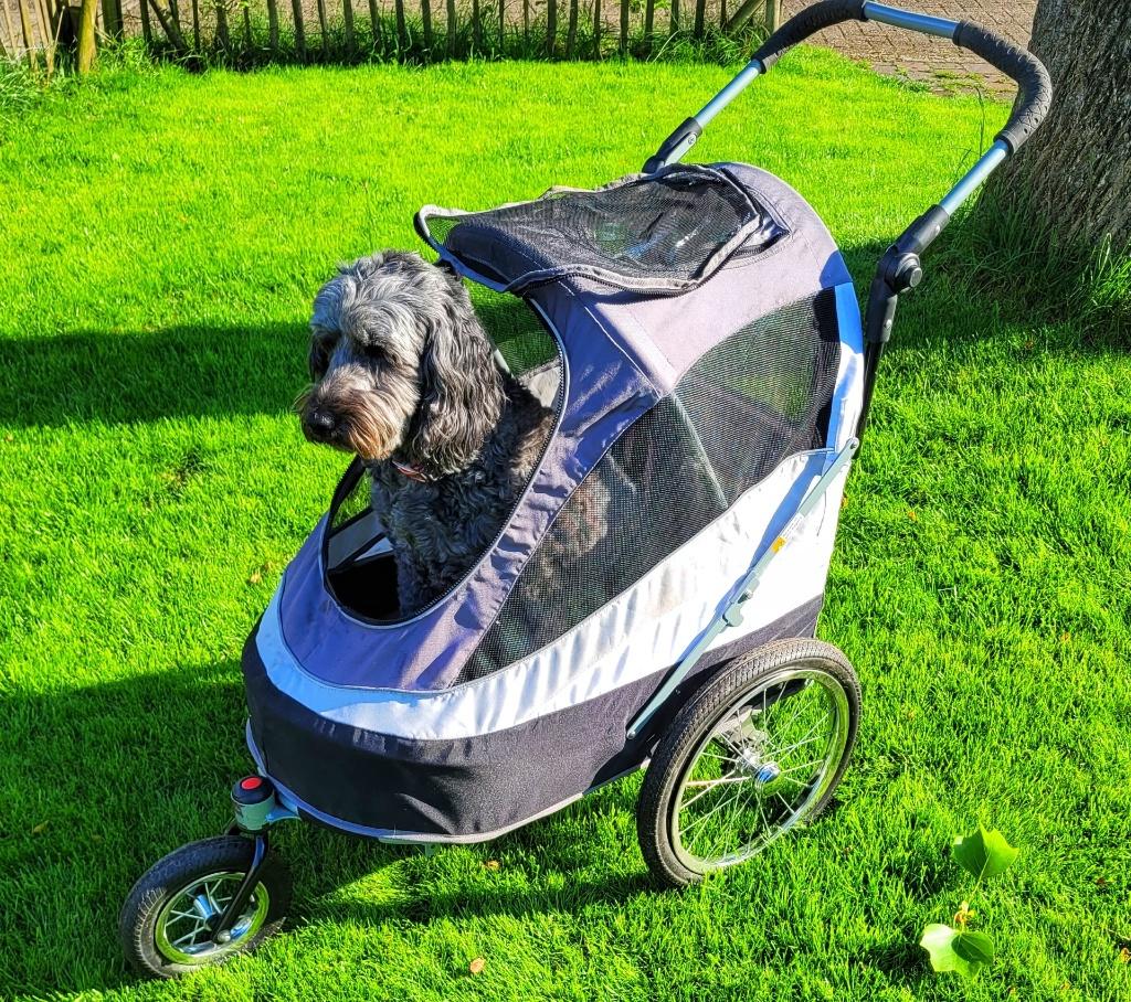 Innopet Sporty Hondenkar, Dieren en Toebehoren, Honden-accessoires, Ophalen, Gebruikt