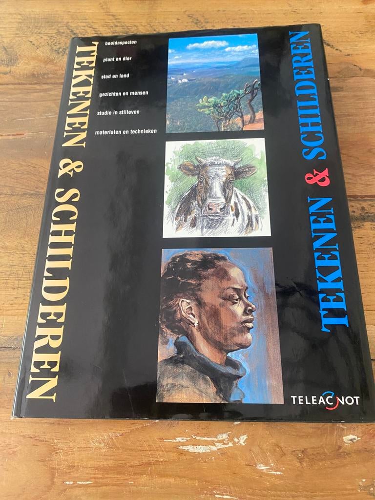 Boek tekenen & schilderen, Boeken, Ophalen of Verzenden, Zo goed als nieuw, Tekenen en Schilderen