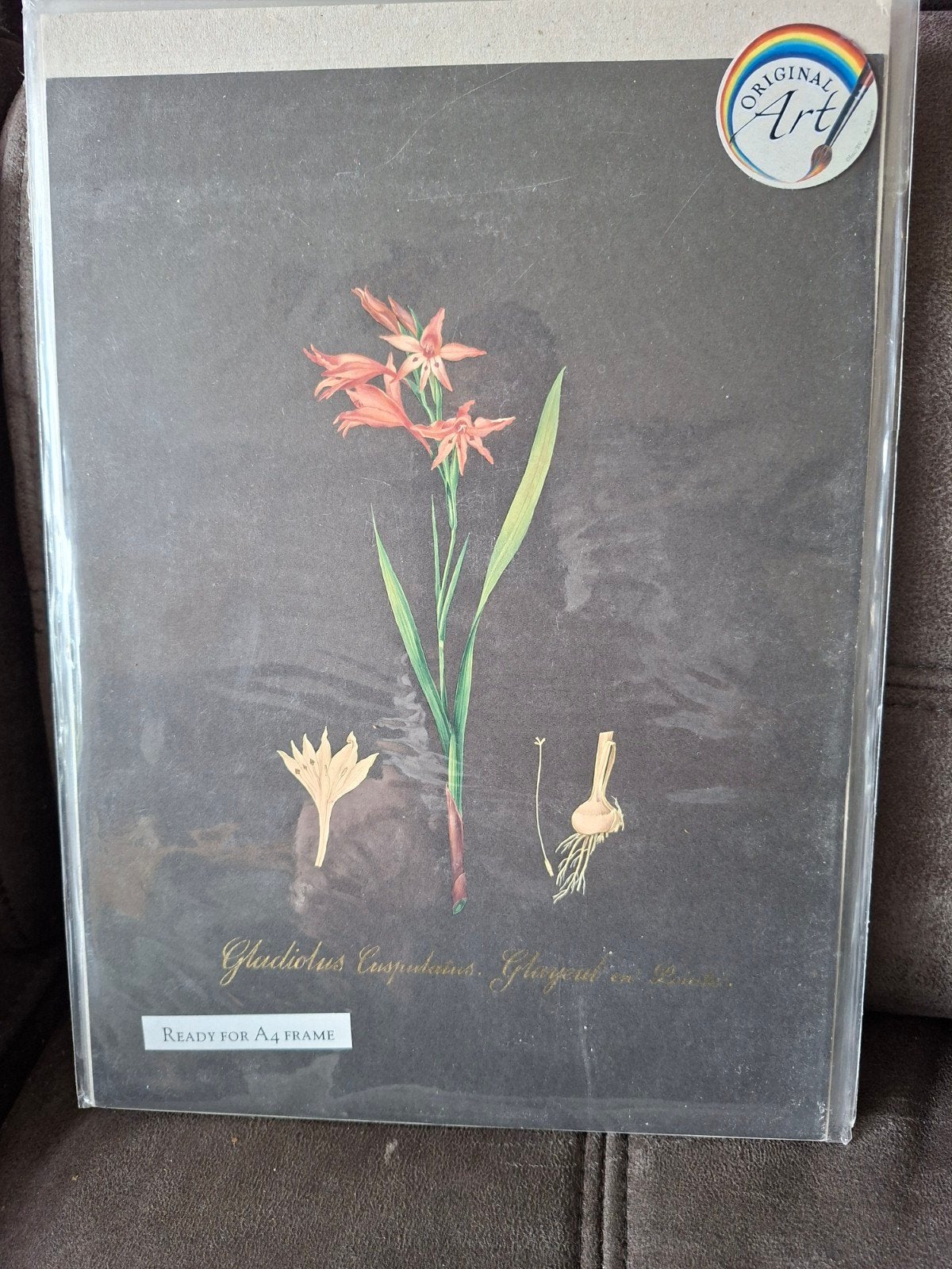 Handgeschilderde Botanische Prints (A4), Ophalen of Verzenden