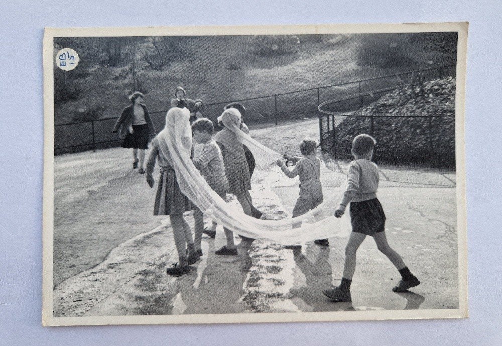 Edouard Boubat Jardin des Plantes, 1960, Verzamelen, Ansichtkaarten | Themakaarten, Ophalen of Verzenden, 1940 tot 1960, Ongelopen