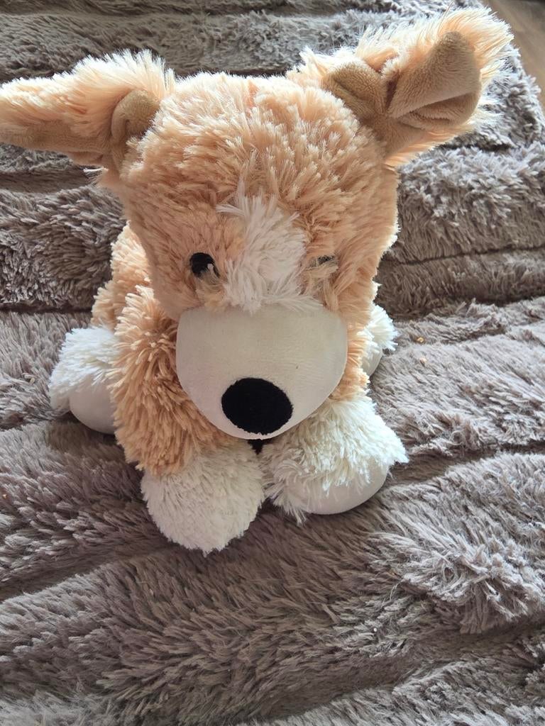 Schattige Warmies Hond ZGAN, Ophalen of Verzenden, Zo goed als nieuw, Hond