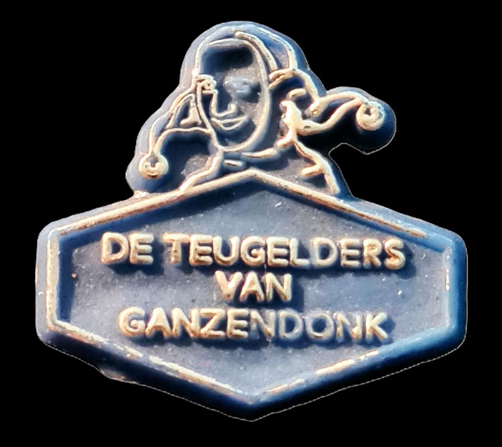 De Teugelders van Ganzendonk speld, Verzenden, Nieuw, Stad of Land, Speldje of Pin