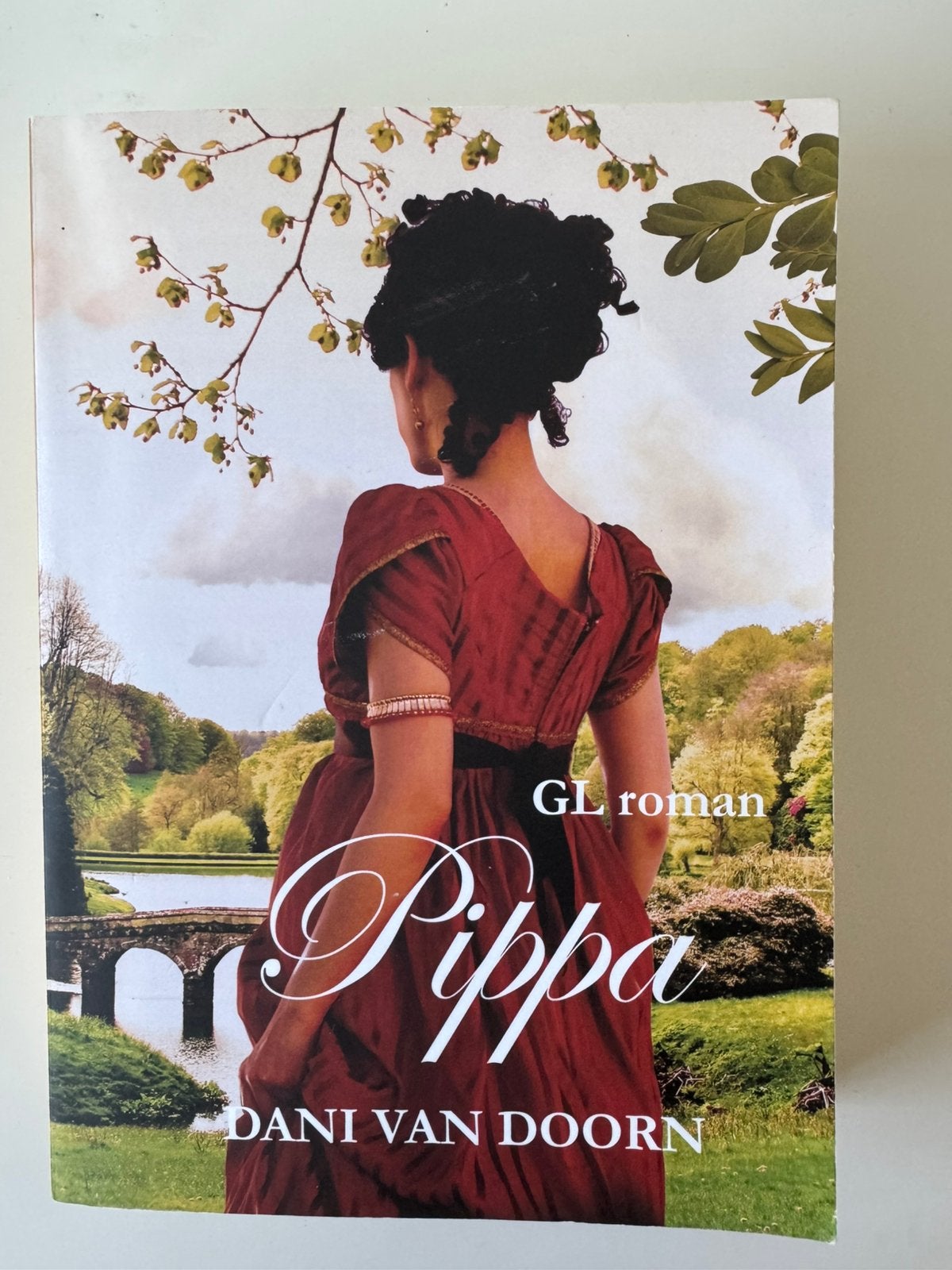 GROTE LETTERBOEK Pippa - Dani van Doorn Nieuw, Ophalen of Verzenden, Nieuw, Dani van Doorn